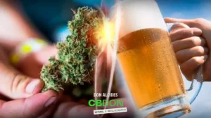 A CANNABIS E MAIS SEGURA DO QUE O ALCOOL